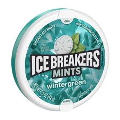 Ice Breakers Wintergreen Mints [USA] 
